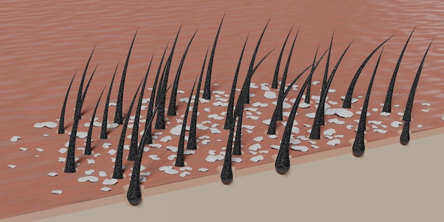 Haarzakjes en roos onder microscoop 3D illustratie