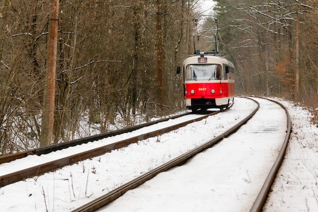 Haastende tram door het winterbos