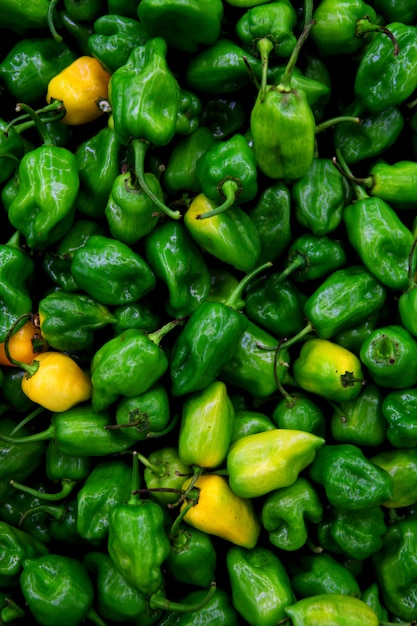 Habanero chili heetste peper ter wereld