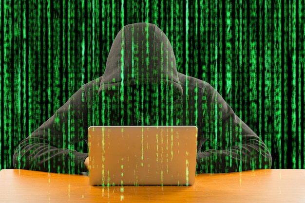 ハッカープログラマーはデータを見て検索します