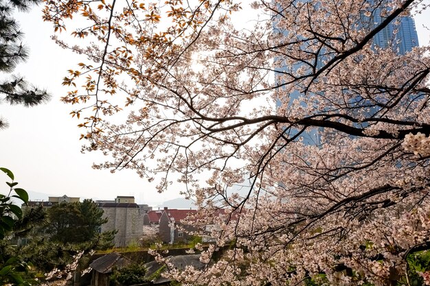 부산 해운대 거리 정면.