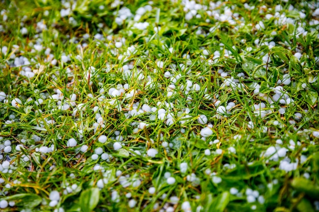 Hagel op het gras