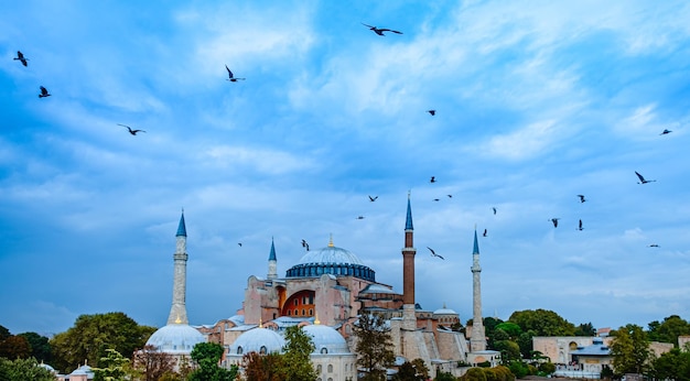 Hagia Sophia-koepel en minaretten in oude Sultanahmet