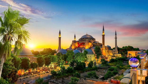 Photo hagia sophia and palm tree