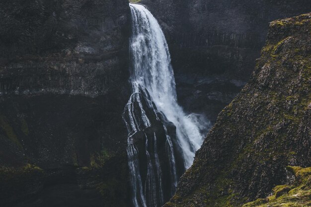 Photo haifoss