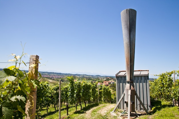 Hail cannon in Italian vineyard, Monferrato and Langhe area, Piemonte region.