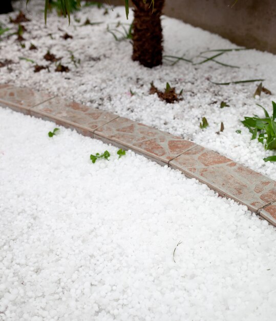 Hailstorm in the garden