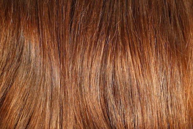 Текстура волос крупным планом каштанового золотисто-коричневого цвета, крупный план пучка блестящих прямых коричневых