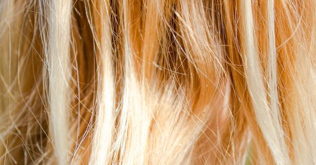 Hair of a young blonde closeup Young woman hairstyle blondreddish hair