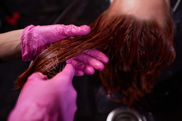 Hairdresser in beauty salon washes his client hair, before
procedure of applying natural restoring ingredients and vitamins to
hair and haircut.