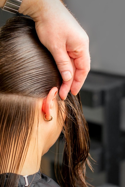 Hairdresser divides female hair into sections with comb holding hair with her hands in hair salon close up.