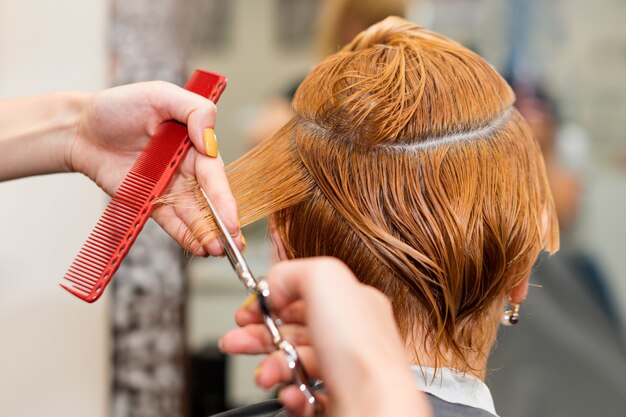 Hairdresser hold in hand between fingers lock of hair, comb and scissors giving a haircut