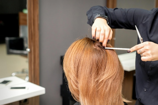 Hairdresser prepares long hair of a young woman to procedures in a beauty salon.