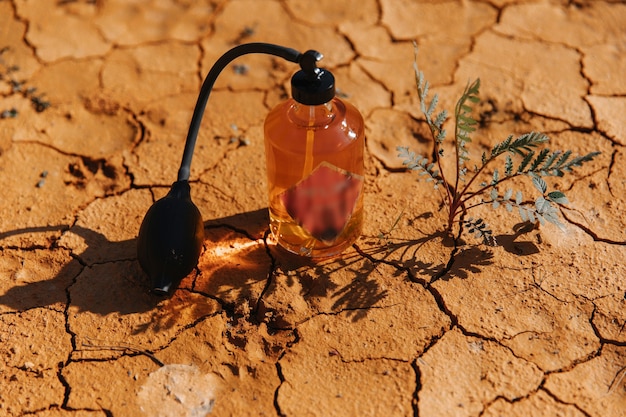 Hairdresser's tools on cracked clay.