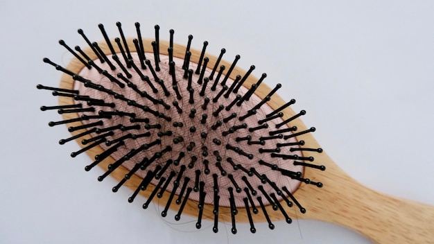 Photo hairloss in a hair comb