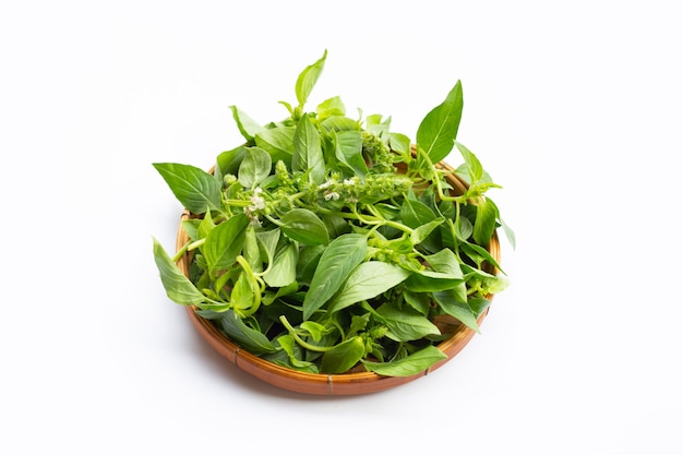 Hairy Basil in bamboo basket.