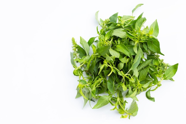 Hairy Basil in bamboo basket.