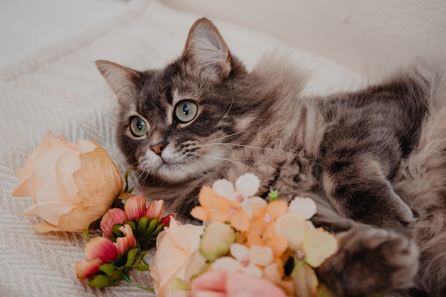 写真 ピンクと黄色の花でポーズをとる大きな緑色の目を持つ毛深い飼い猫。