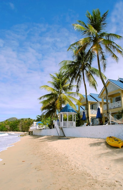 Foto halcyon beach st. lucia nei caraibi