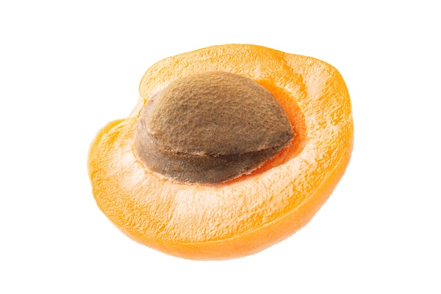 Half apricot with bone isolated on white background. With full depth of field.