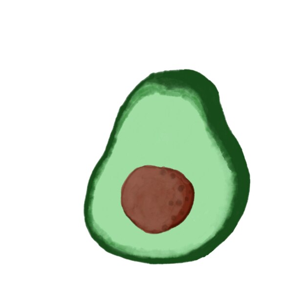Half of avocado Vector watercolour illustration with transparent background