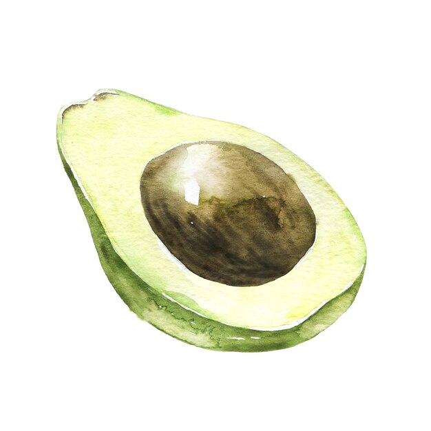 Half of avocado with kernel