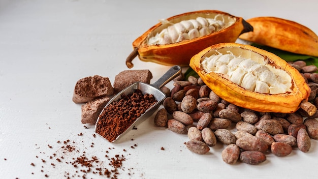 Half cacao pods with cacao fruit and brown cocoa powder