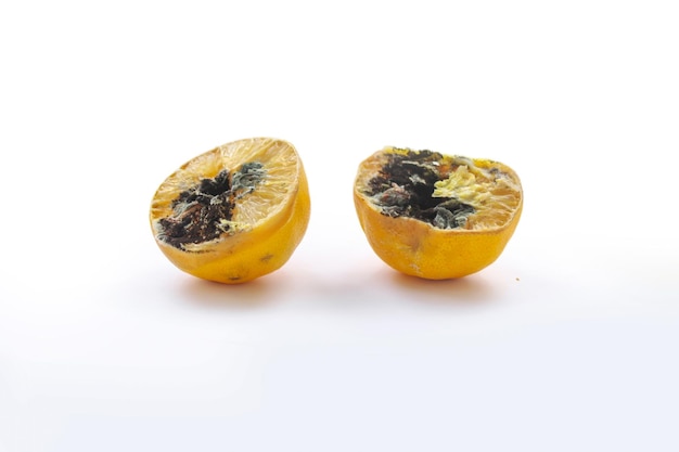 Photo half a lemon with black mold