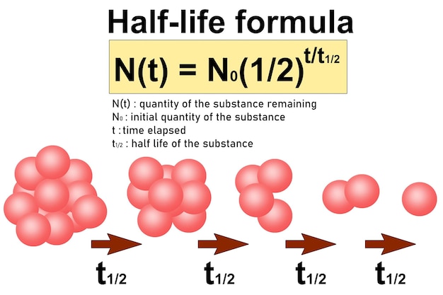 Half life formula and radioactive decay diagram