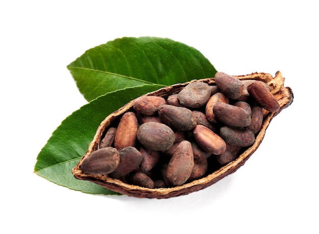 Half of ripe cocoa pod with beans on white background