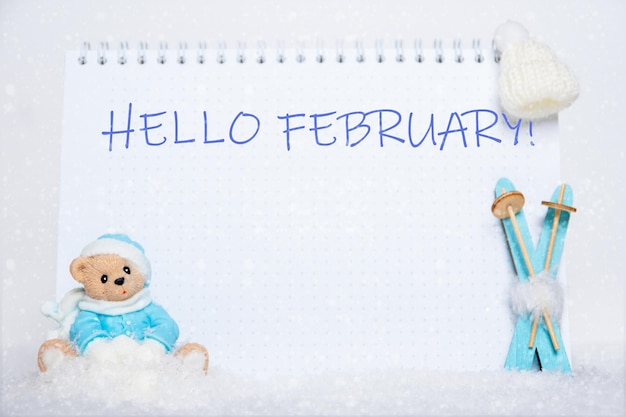 HALLO FEBRUARI. Teddybeer in blauwe kleren zittend op een slee, blauwe houten ski's, een witte hoed en een notitieboekje met de woorden HELLO FEBRUARI tegen een achtergrond van witte sneeuw.