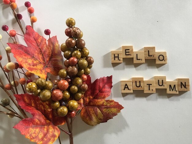 Foto hallo herfst bericht kopieer ruimte herfst seizoen