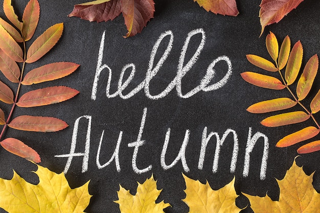 Hallo herfst wit krijt belettering op blackboard.