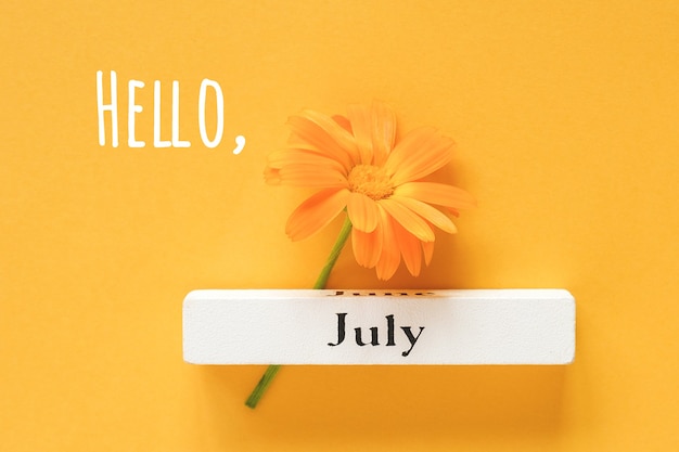 Hallo juli tekst, wenskaart. een oranje calendula bloem en kalender zomer maand juli op gele achtergrond. bovenaanzicht ruimte kopiëren plat lag minimalistische stijl.