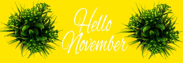 Hallo november concept met plant potten geïsoleerd op gele achtergrond