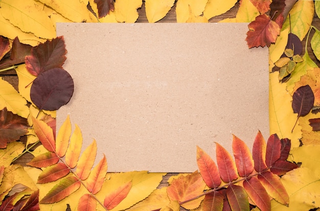 Hallo oktober Herfstsamenstelling bovenaanzicht van heldere kleurrijke herfstbladeren met een vel papier