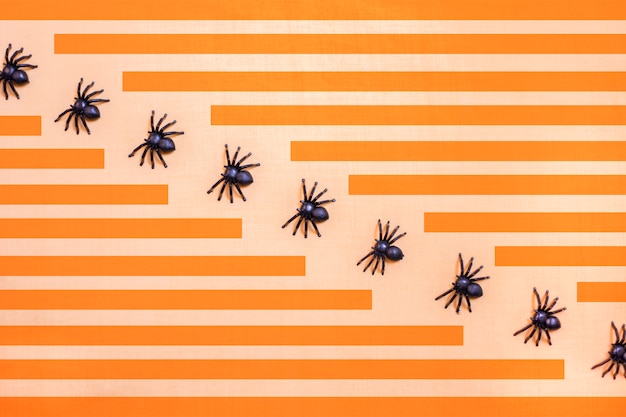 Halloween background with black spiders walking in diagonal row and rectangular stripes in orange.