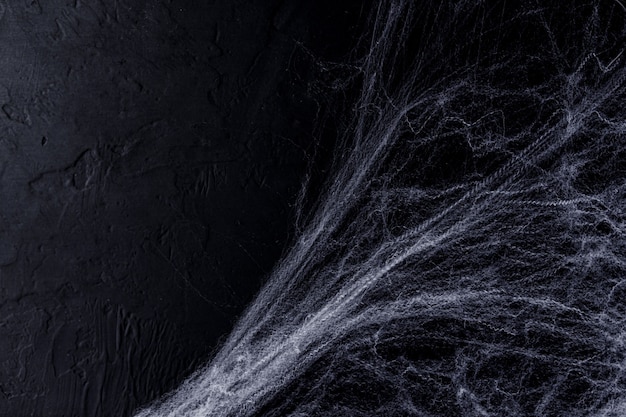 Halloween background with spider web  on the black background. Happy Halloween concept.