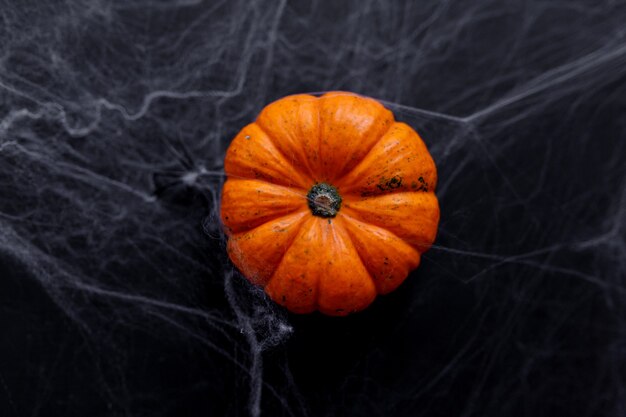 Halloween background with spider web  on the black background. Happy Halloween concept.