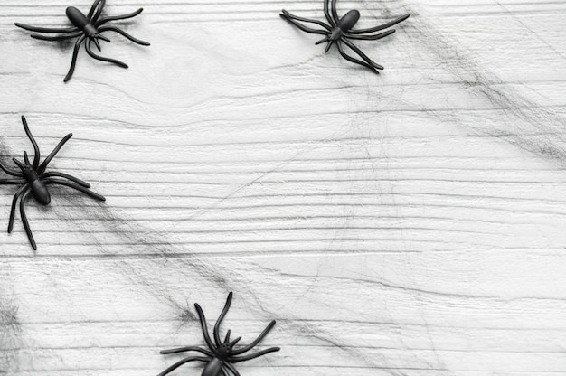 Photo halloween background with spider web and spiders on white wood