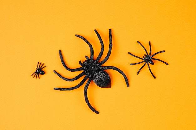 Halloween background with  spiders. Flat lay, top view trendy holiday concept.