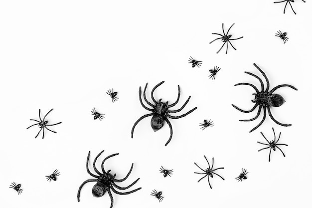 Halloween background with  spiders. Flat lay, top view trendy holiday concept.