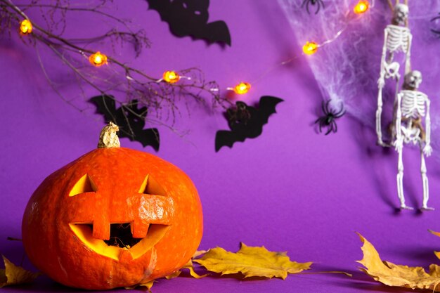 Halloween backgrounds of Jack lantern pumpkin spider web skeleton on a rope spiders and black bats on a purple background with terrible scenery Horror and a scary holiday with copy space