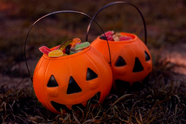 Halloween baskets in the park with candy and gummies in the park