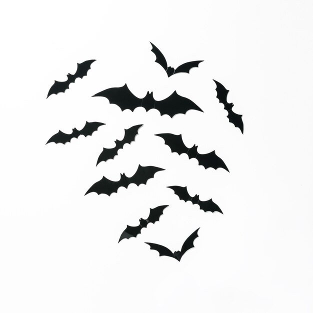 Photo halloween bat decorations on a white background