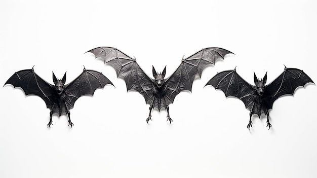 halloween bats high definition photographic creative image