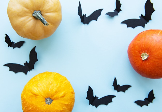 Pipistrelli e zucche di halloween su fondo blu