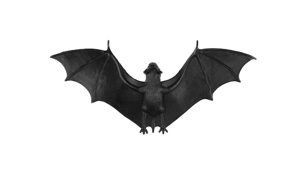 Photo halloween black bats isolated on white background