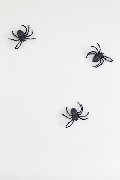 Halloween black spiders on wall