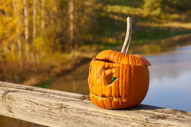 Halloween carved pumpkin with blurred landscape on the background.